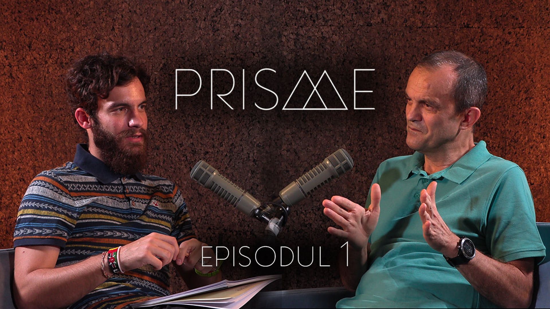 Prisme.01 – Cătălin Cîrstoveanu