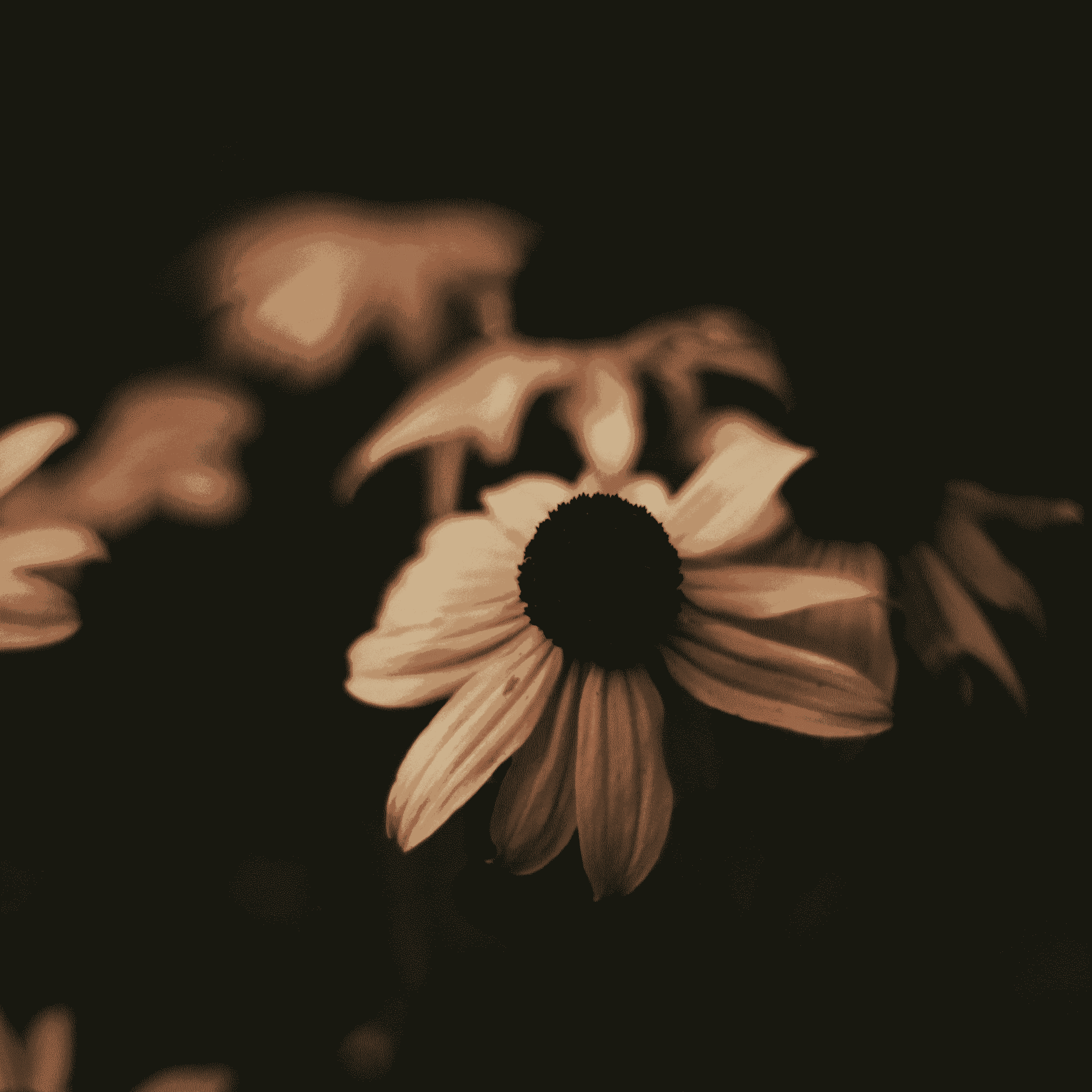 Max Lucado – Noi ne ascundem, iar El ne caută