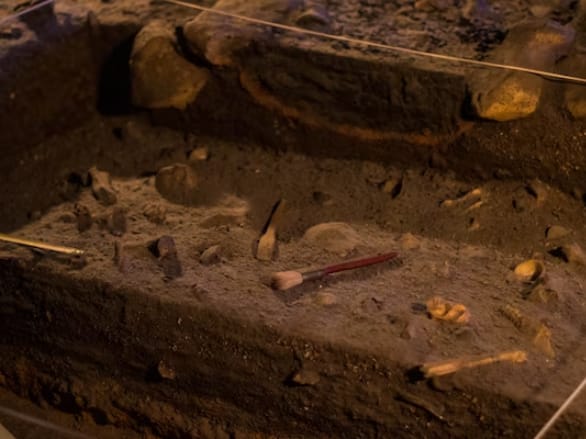 Arheologii israelieni îi căută pe cei dispăruți