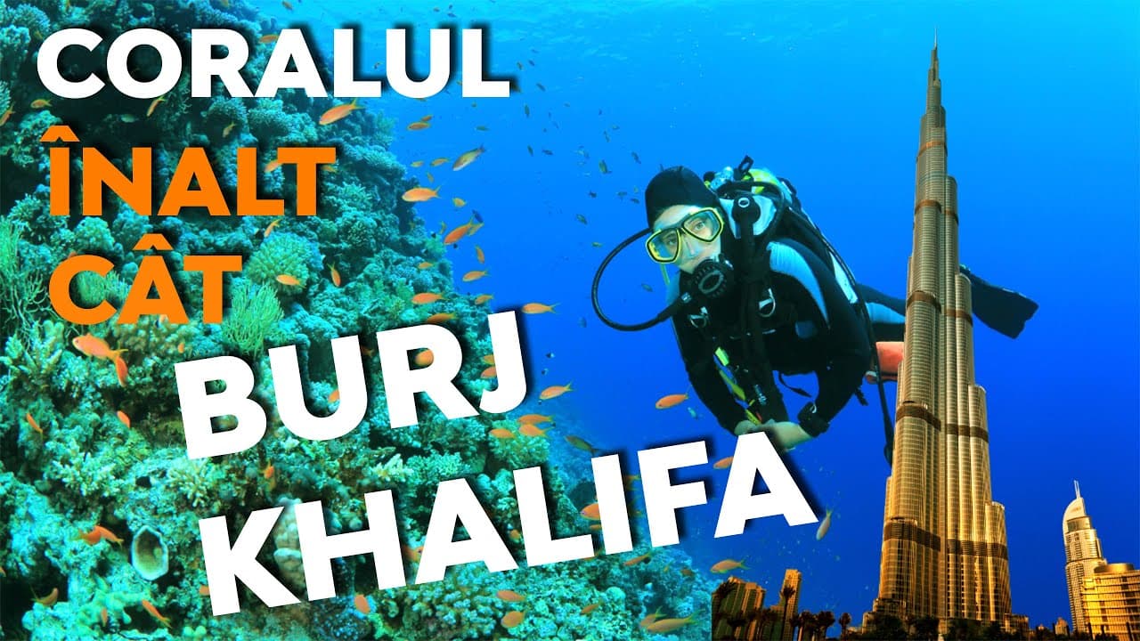 Coralii – „Grădinile subacvatice”