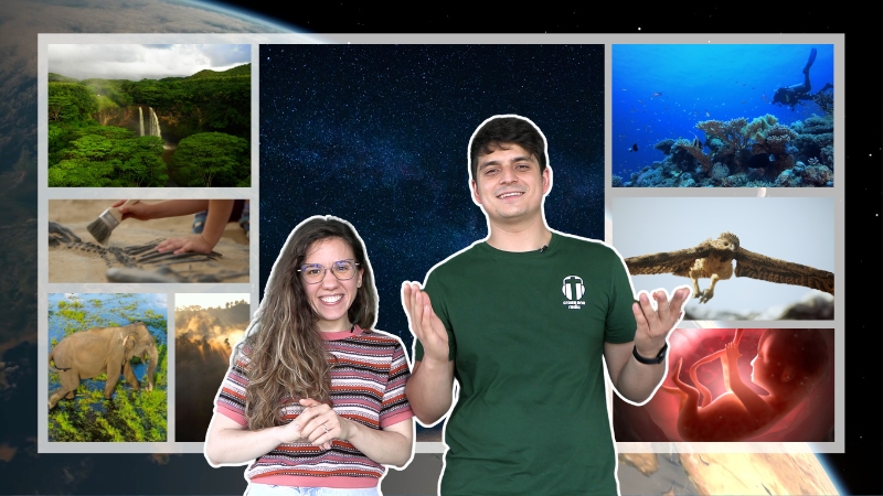 calatorie-in-univers