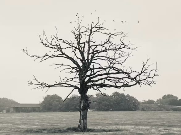 Când moartea se apropie