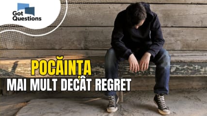 pocainta-regret