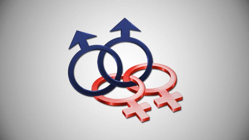 Sprijinul pentru casatoria homosexuala este in scadere în SUA